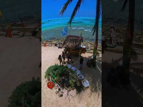 El verdadero paraíso en San Andrés | Bibi's Place Restaurante Bar 🏝️✨
