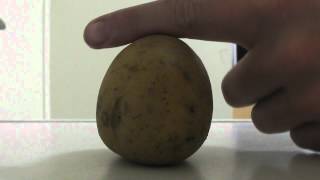 preview picture of video 'Breaking a Potato In Half With My Finger - AND FIST !!!'