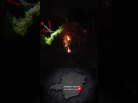 Plantao BO - AGRO” ILEGAL TERMINA EM CINZAS NA ZONA RURAL - PLANTAÇÃO DE MACONHA - FERVEDOURO MG