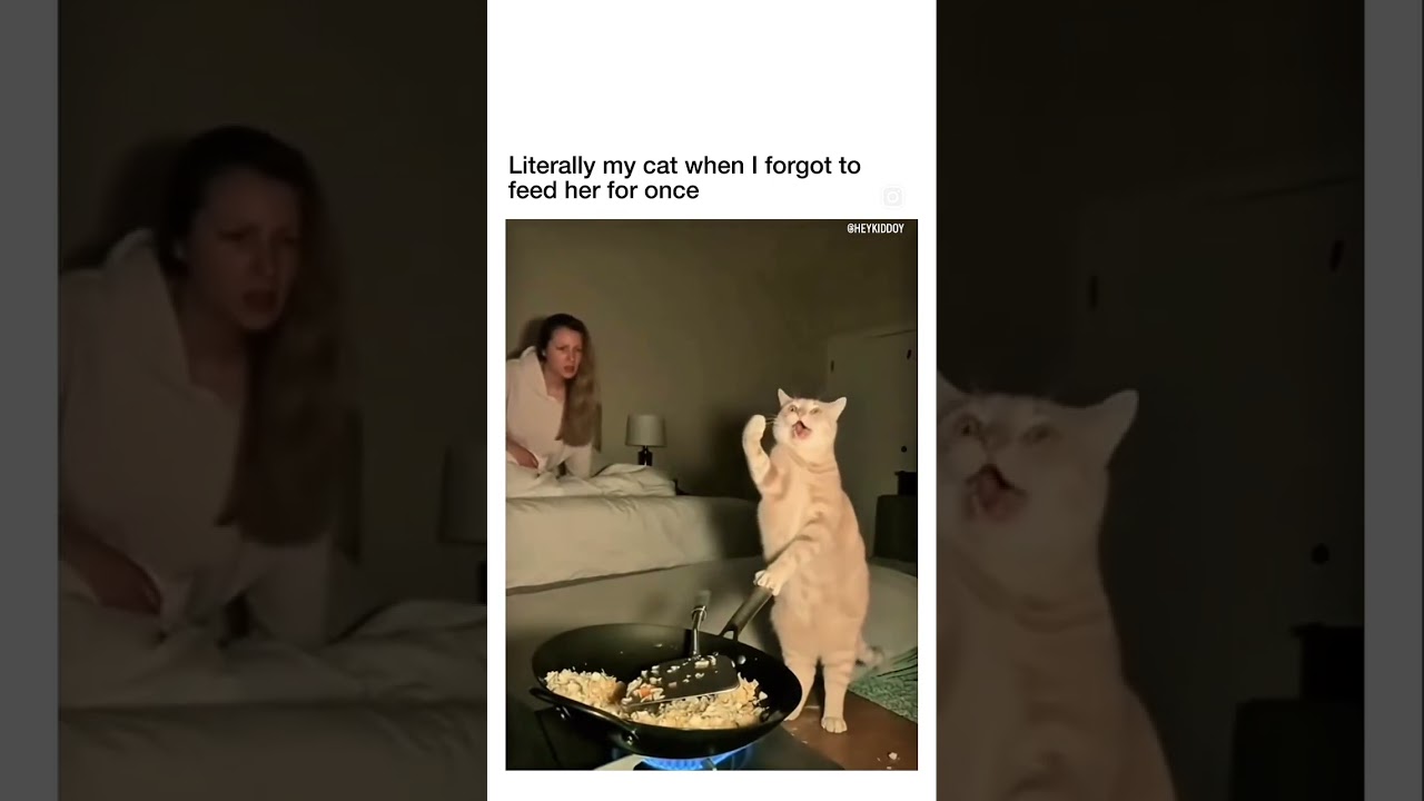 Like it’s Stir Fry 😉