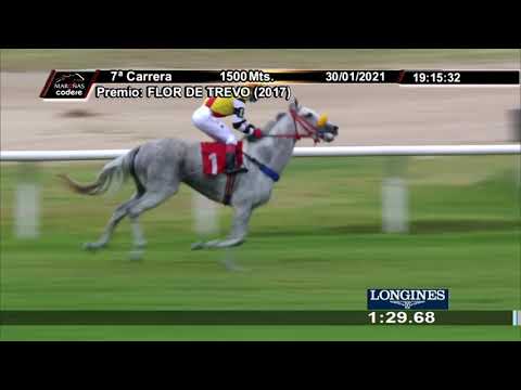 210130 c07 ODE PAULISTA