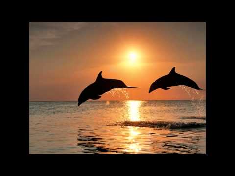 La Caina - Sweet Sunset