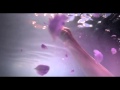 JW SSK Twilight 2012