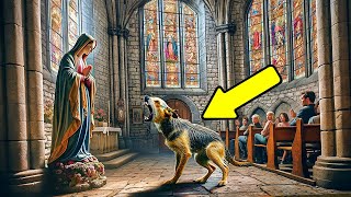 Un Chien N'arrête Pas d’Aboyer Contre la Statue de Marie en Pleine Messe, Tout le Monde Devient Pâle