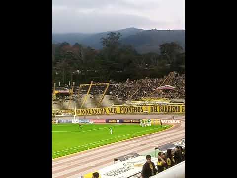 Gol de Zamora ante Táchira en Pueblo Nuevo a los 15 segundos de juego #táchira #futbol #ligafutve