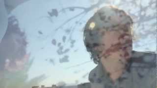 Plastic Flowers: Fake Leaves