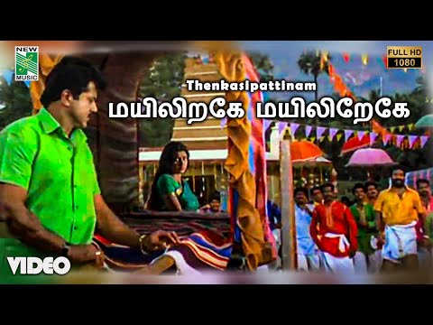 மயிலிறகே மயிலிறேகே பாடல்வரிகள் | தென்காசிப்பட்டிணம் | சரத்குமார் | சம்யுக்தா வர்மா | நெப்போலியன்