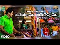 மயிலிறகே மயிலிறேகே பாடல்வரிகள் தென்�