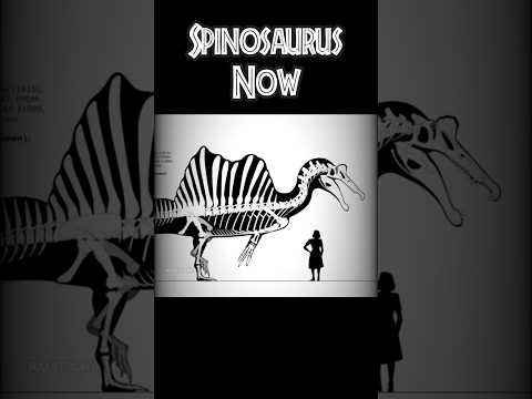 Spinosaurus got a BUFF 💀 - Edit. #shorts #jurassicworld #jurassicpark #spinosaurus #dinosaur
