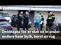 De man wordt vervolgd voor moord, en een 16-jarige voor medeplichtigheid | RTV Utrecht