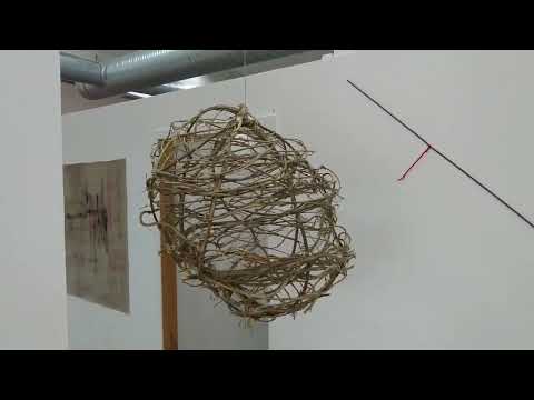 MOV 0154 (Häxkonst, vildkaprifol)