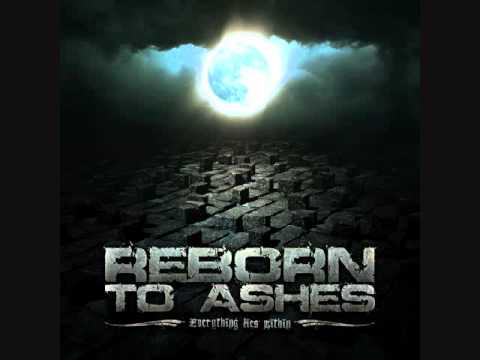 REBORN TO ASHES - EMPTY SHELL