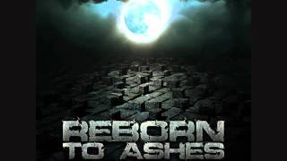 REBORN TO ASHES - EMPTY SHELL