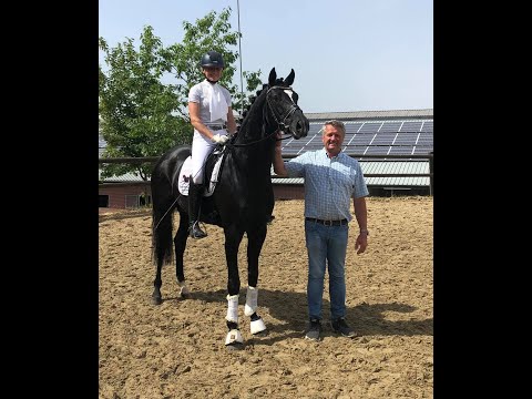 Fashion In Black NRW - Dressurpferdeprfg. KL M