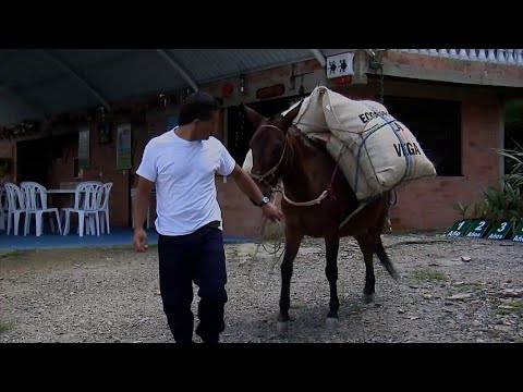 DALE ME GUSTA, ECOPARQUE LA VEGA   LA VEGA    CINDINAMARCA
