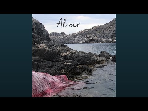 Sílvia Tomàs - Al cor