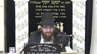 הרב עמרם יוסף  •  הלכות בורר