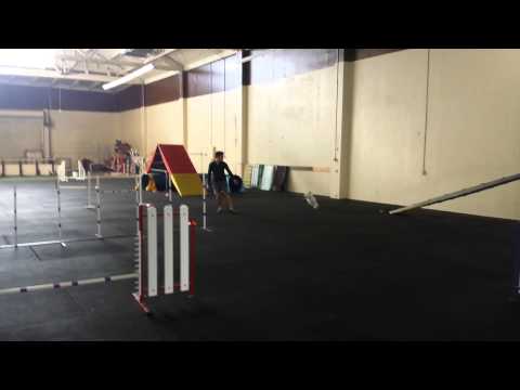 Bev and Pixie 3/21/2014