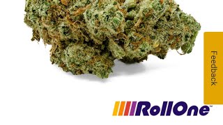 trulieve roll one (green wildfire)28% 4%terps