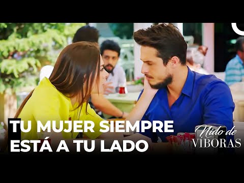 El Mayor Apoyo De Ejder - Nido De Víboras