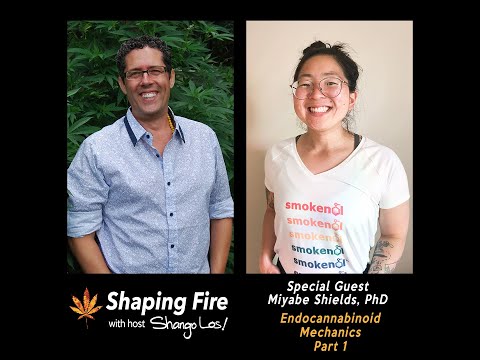 Shaping Fire Ep 78 - Endocannabinoid Mechanics with guest Miyabe Shields PhD
