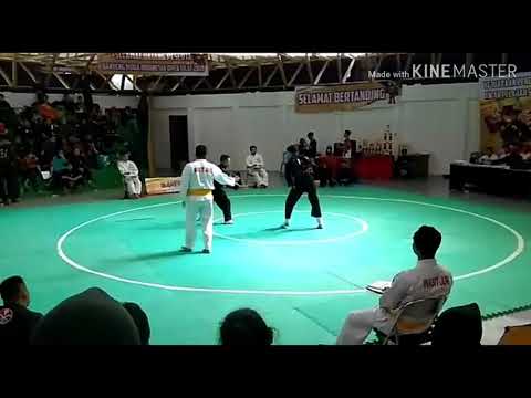 Tadjimalela Vs Persinas asad. Kejuaraan pencak silat Banteng Muda Indonesia Championship (BMI)
