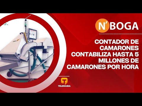 Contador de camarones contabiliza hasta 5 millones de camarones por hora