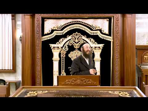 הלכות פיקוח נפש בשבת - שיעור שני