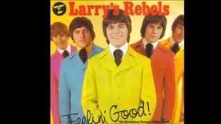 It's Not True by Larry's Rebels