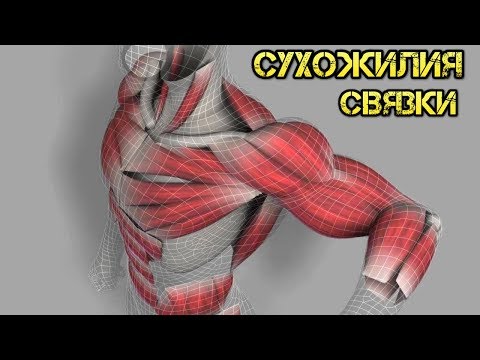 Рекурвация коленного сустава это Щелкают суставы при грудном вскармливании