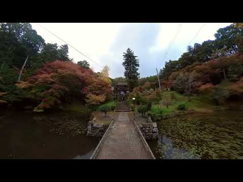 2023/11/11 Templo Tokoji (Tamba Sasayama)