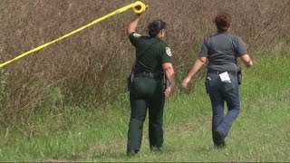 Show horse tortured, dismembered in Manatee County