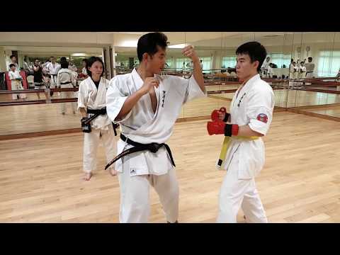 Ashihara Karate: Sabaki (Action & Reaction)