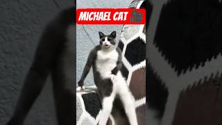 Versao gato do #michaeljackson #shorts #humor #views #feedshorts
