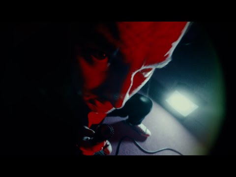 Džiugas Širvys - Raudonuoju