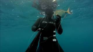 Spearfishing Croatia Mix 5 Spearfishing Croatia Mix 5