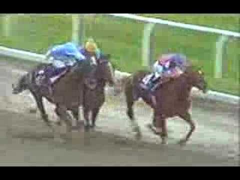Unbridled 1990 Breeders' Cup Classic