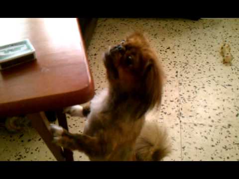 Juan Diego hates matches