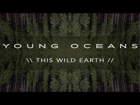 This Wild Earth video