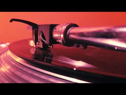 Alpha Steppa - Reality Check ft. Reality Souljahs