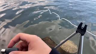 たまには釣り動画もいいよね？