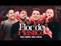 Fred E Fabrício Jorge E Mateus Flor De Plástico Acústico De Primeira