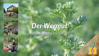 Der Wermut bei Hildegard von Bingen