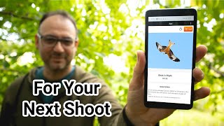 My Wildlife Photography Guides for Beginners & Intermediates
