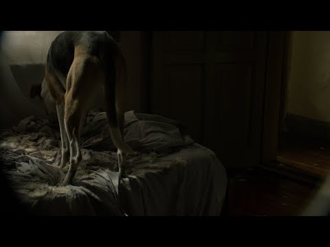 Me Quema El Suelo - ODD MAMI