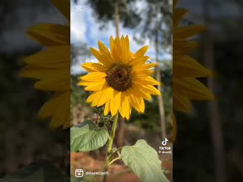 Conociendo mi departamento de Itapúa