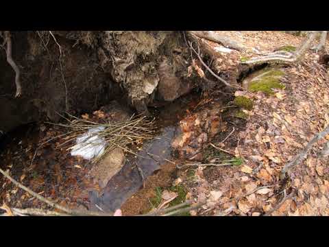 Походный трут для розжига огня Procamptek Ultimate Fire Tinder