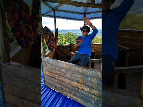Impresionante vista a la selva amazónica en el Mirador la Casa del Chocolate en Orito Putumayo 🇨🇴 😯