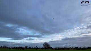 Spiderkites Lycos Competition 2.2 Erstflug bei Hauchwind (uncut)