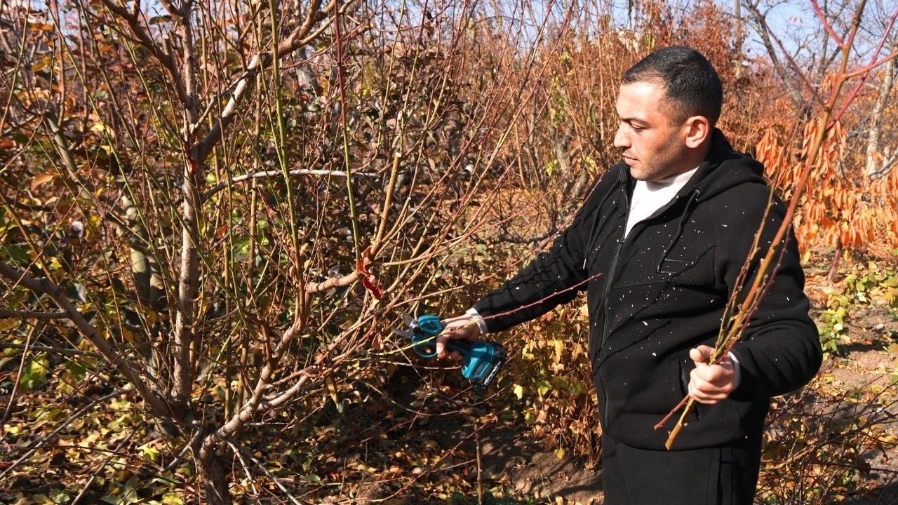 Davit fled Nagorno-Karabakh to Armenia, where he was unable to find a job
